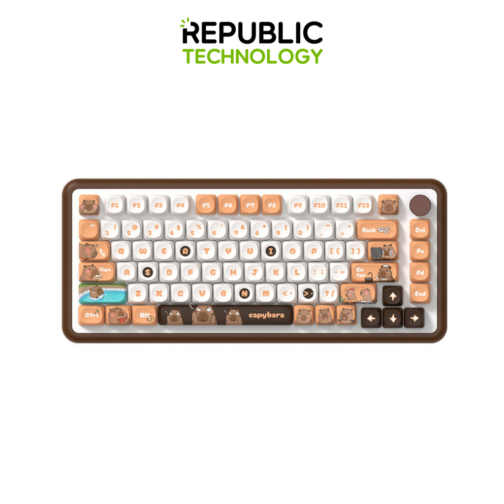 Republic Technology Keyboard Keycaps Capybara Edition MOA Profile PBT 112 Keys for Mechanical Keyboard