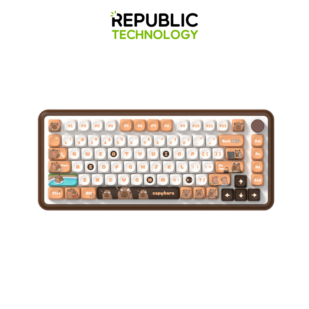 Republic Technology Keyboard Keycaps Capybara Edition MOA Profile PBT 112 Keys for Mechanical Keyboard